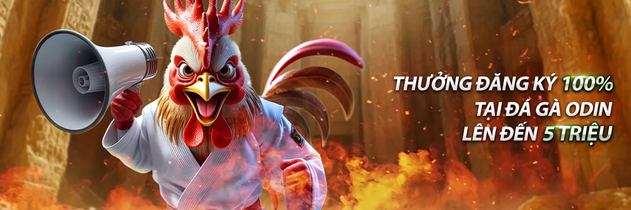 Quyền của người dùng 99ok vin theo GDPR